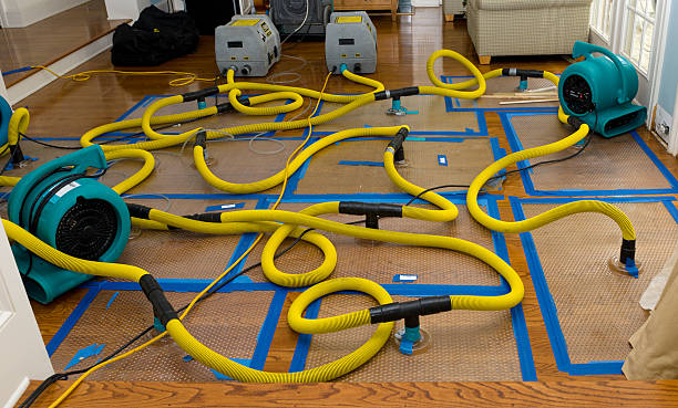 Professional Sewage Cleanup technician working in Homer, GA